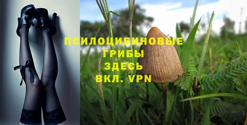 цены   kraken ТОР  Галлюциногенные грибы Magic Shrooms  Стрежевой 